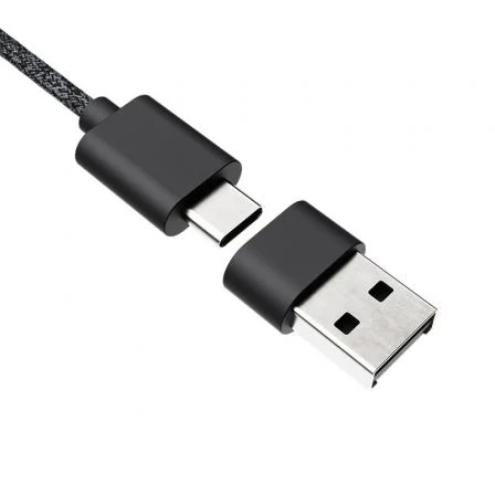 Logitech Zone Wired Teams USB-C Grafito Logitech Zone Wired Teams USB-C Grafito